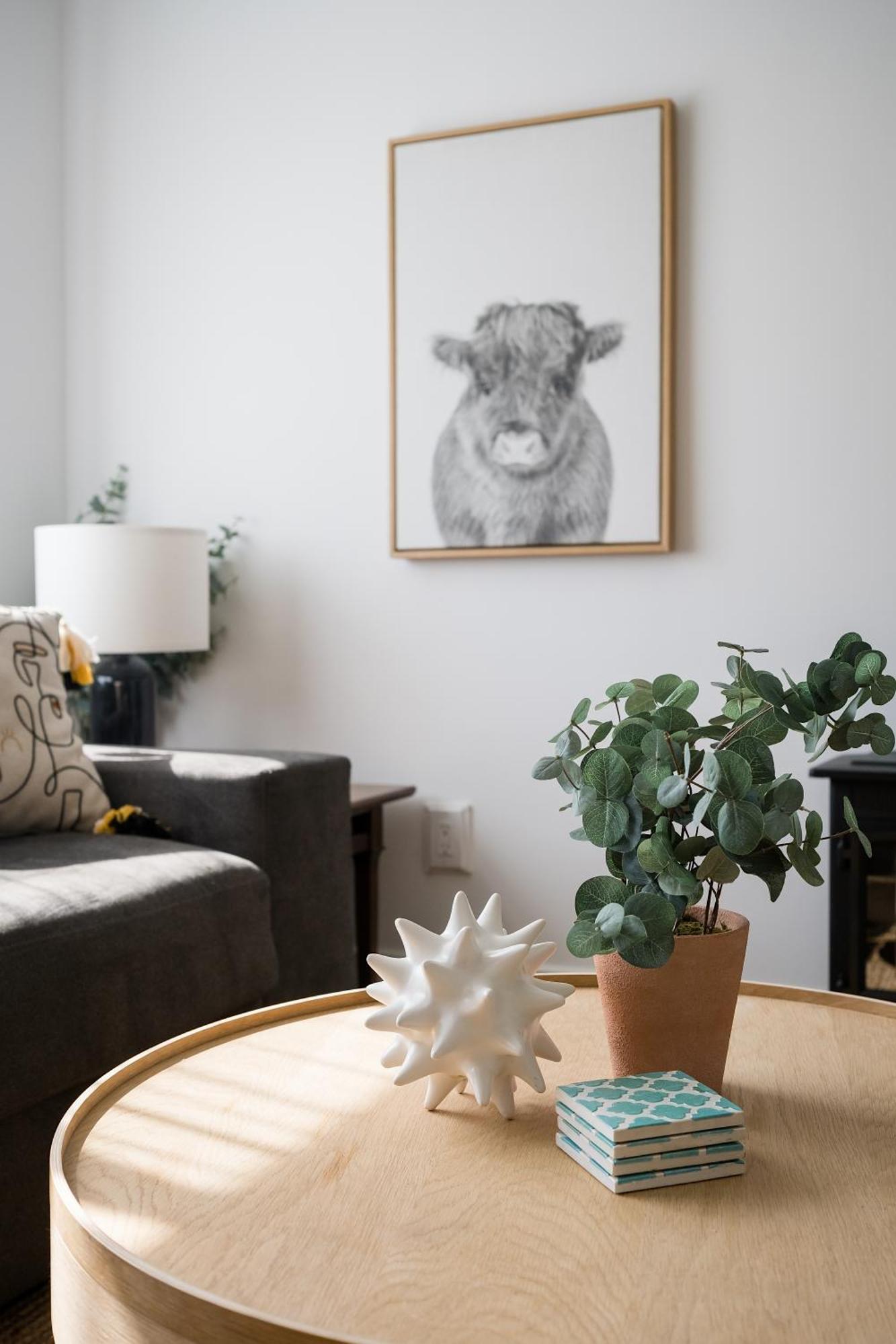 The Darcie House - Cozy, Pet-Friendly Home In Pec Picton Esterno foto